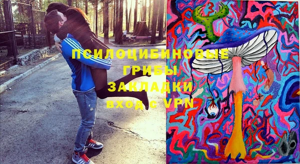 не бодяженный Богородицк