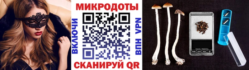 купить наркотики цена  hydra зеркало  Псилоцибиновые грибы MAGIC MUSHROOMS  Сковородино 