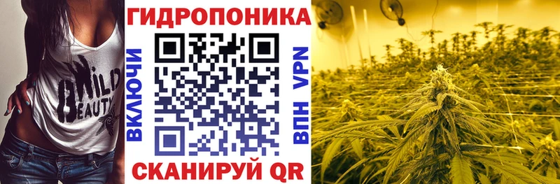 купить наркотик  Сковородино  Канабис Ganja 